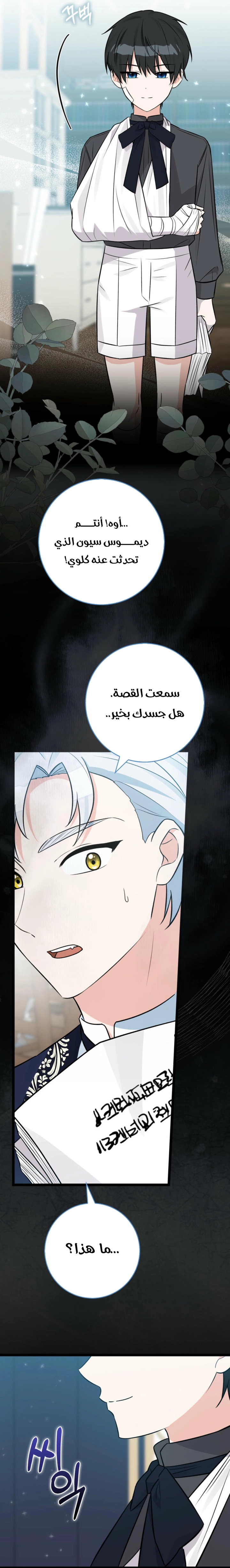 الصفحة 15