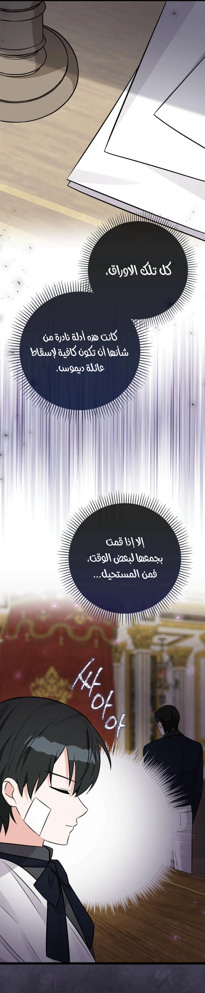 الصفحة 17