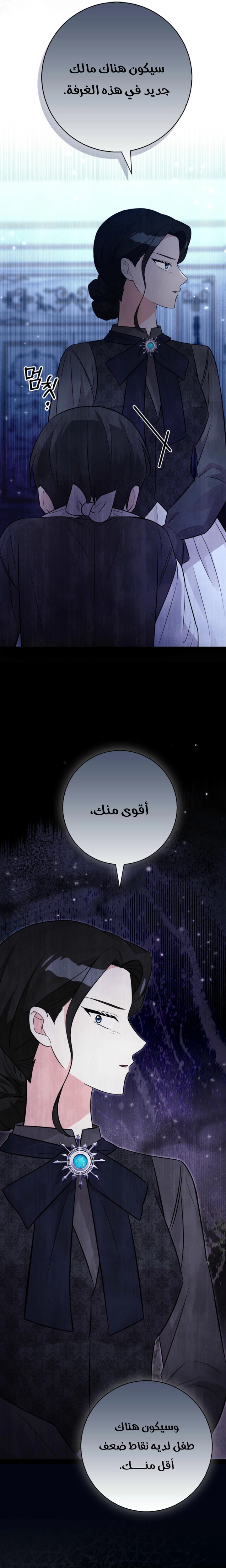 الصفحة 25