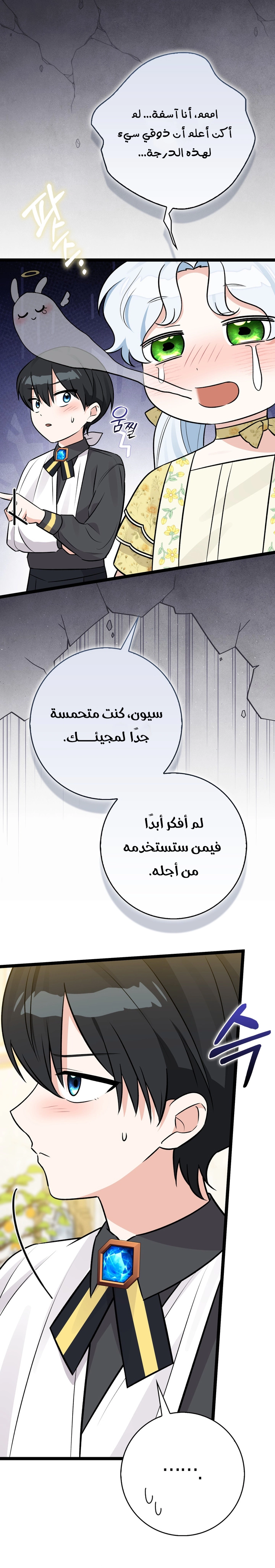 الصفحة 13