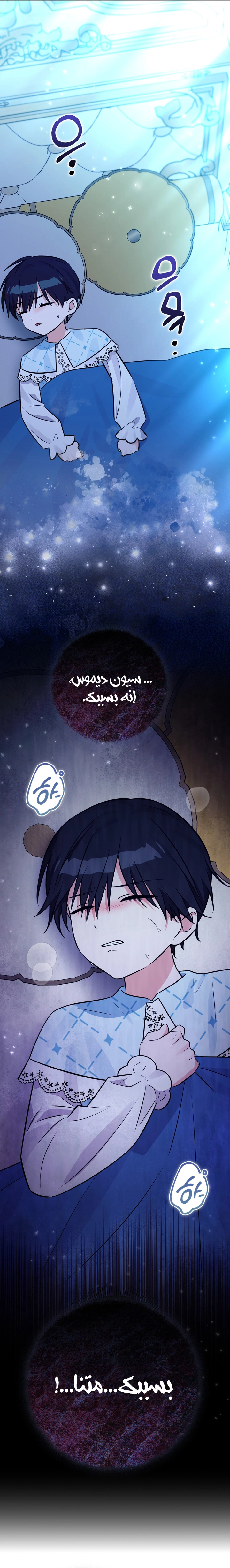 الصفحة 17