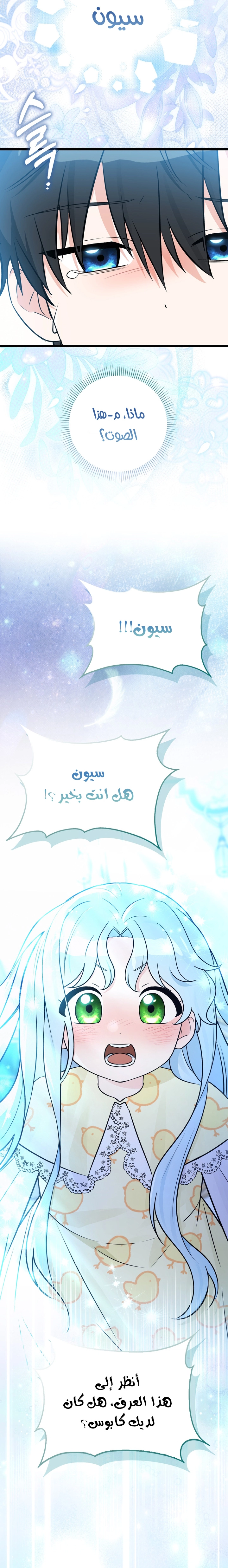 الصفحة 19