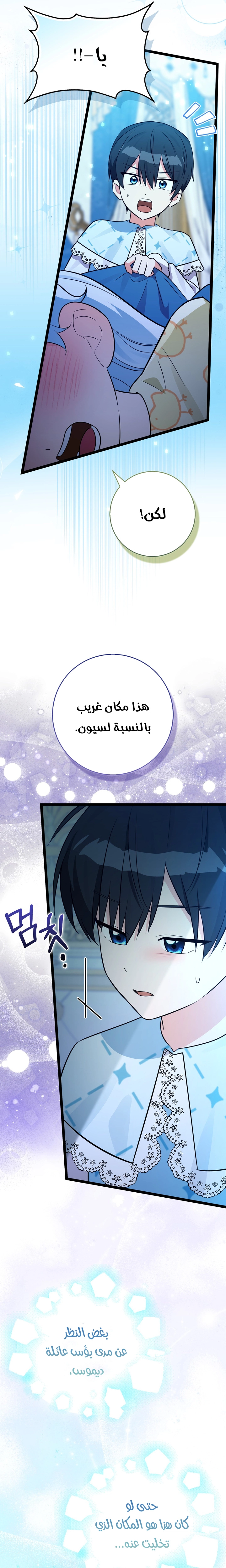 الصفحة 24