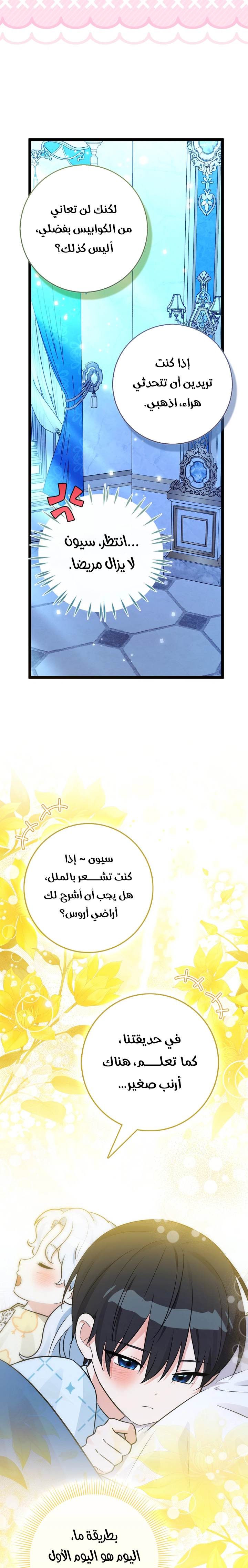 الصفحة 27