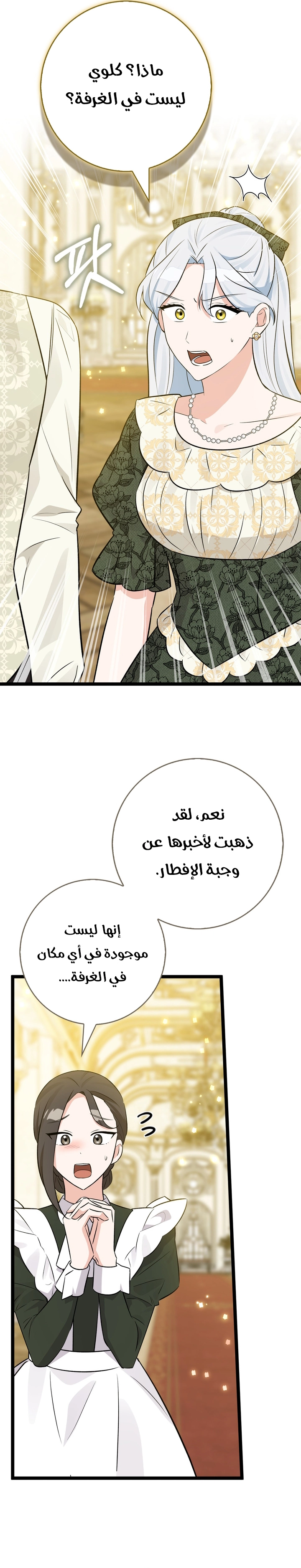 الصفحة 29