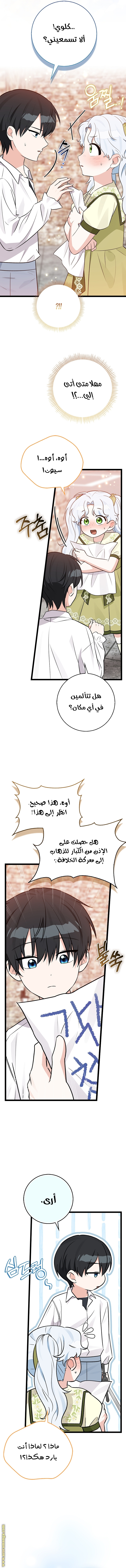 الصفحة 17