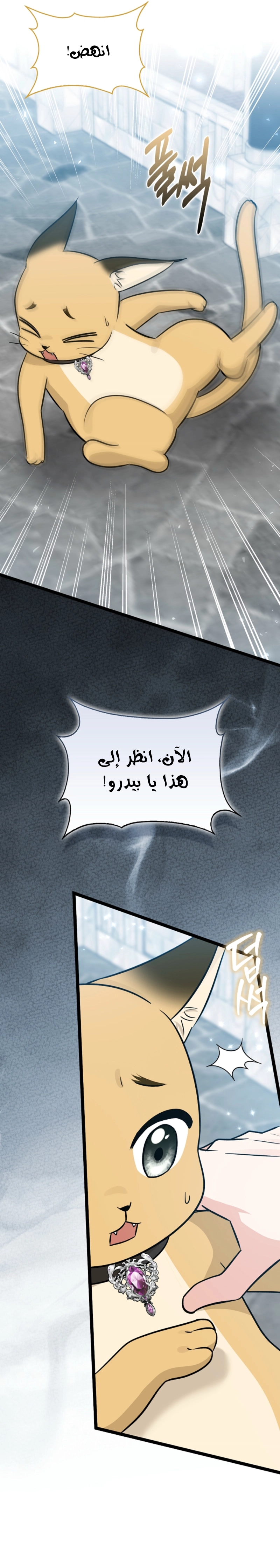 الصفحة 5