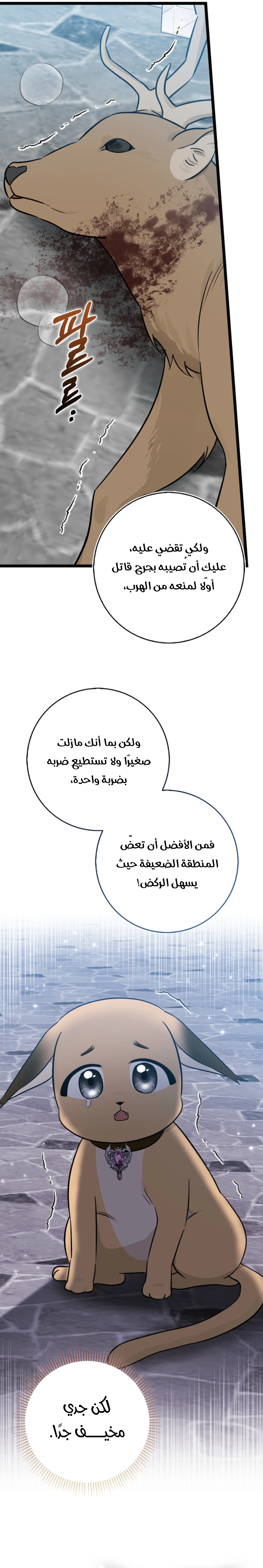 الصفحة 7
