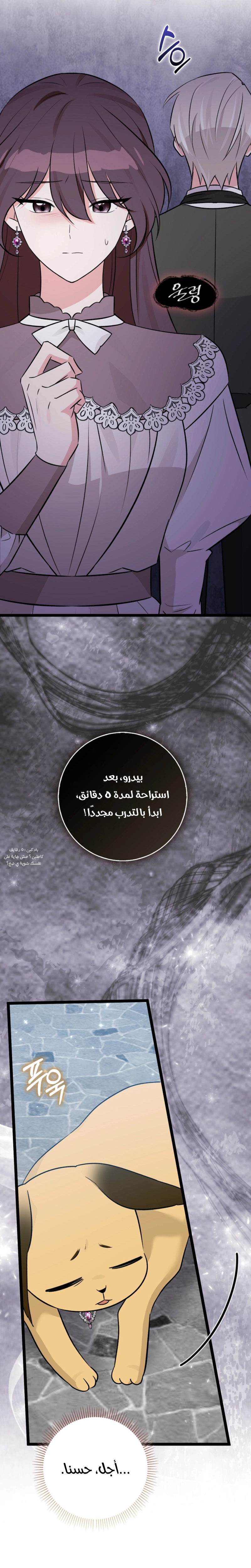 الصفحة 11