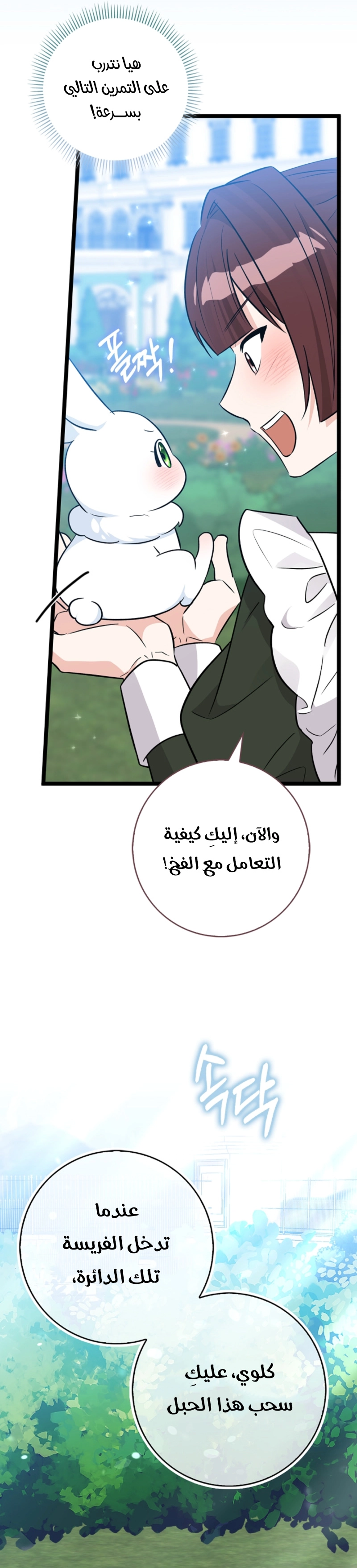 الصفحة 15