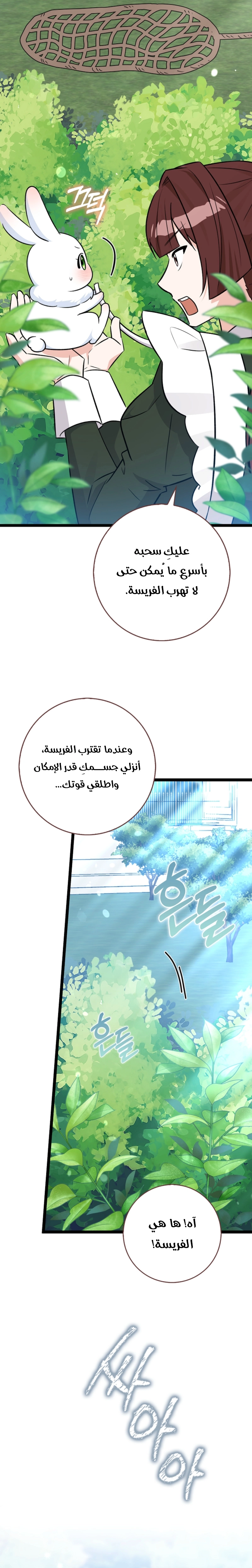 الصفحة 16