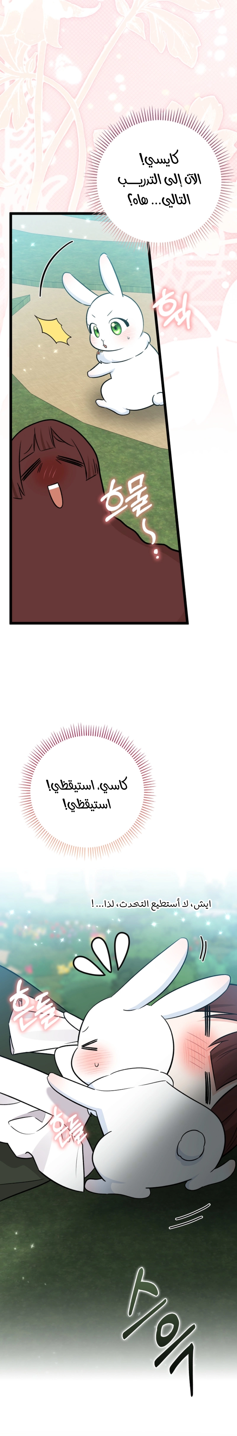 الصفحة 21