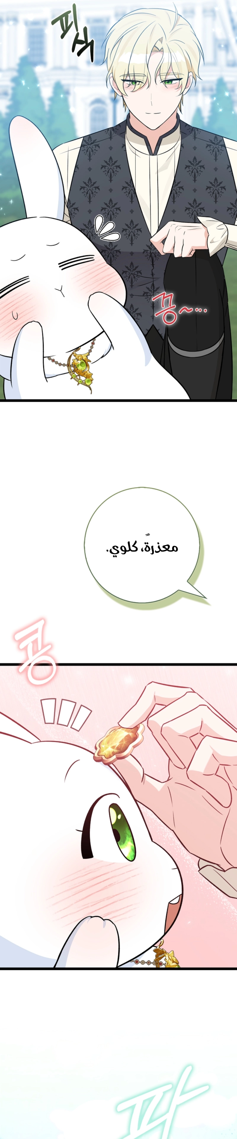 الصفحة 24