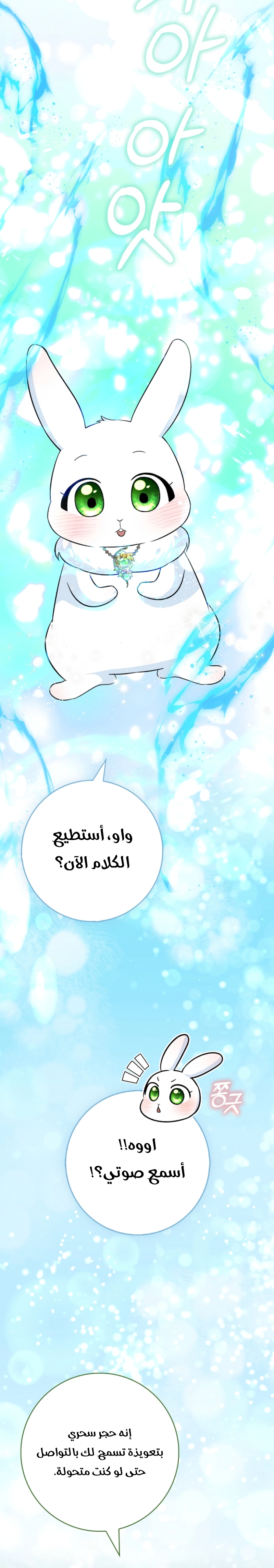 الصفحة 25