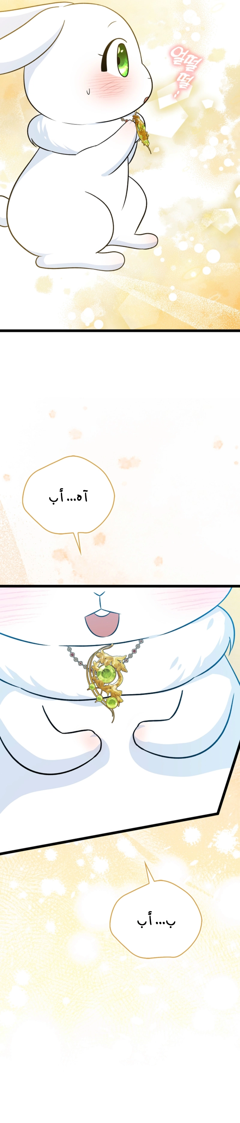 الصفحة 27
