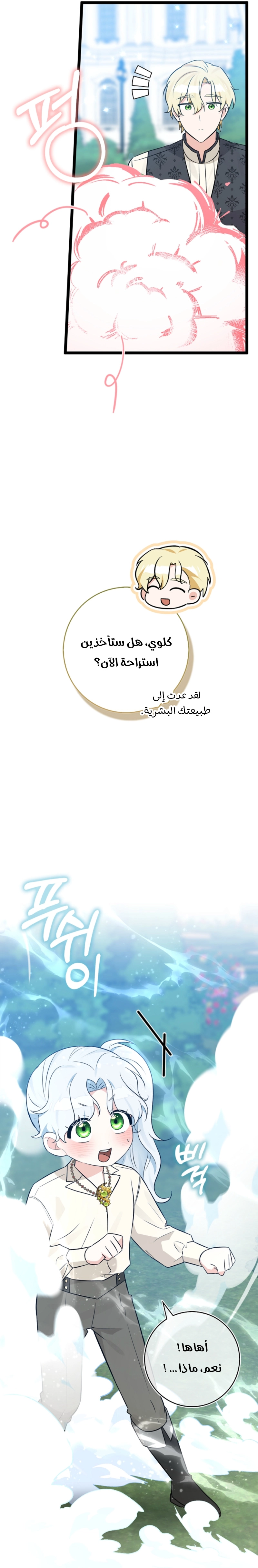 الصفحة 28