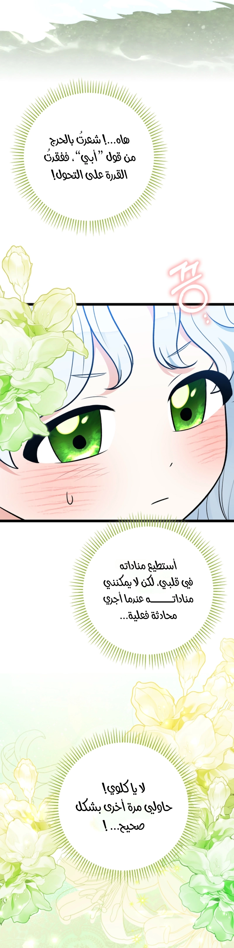 الصفحة 29