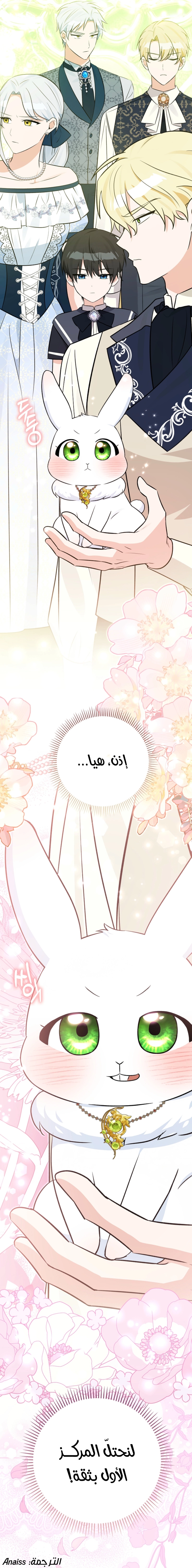الصفحة 37