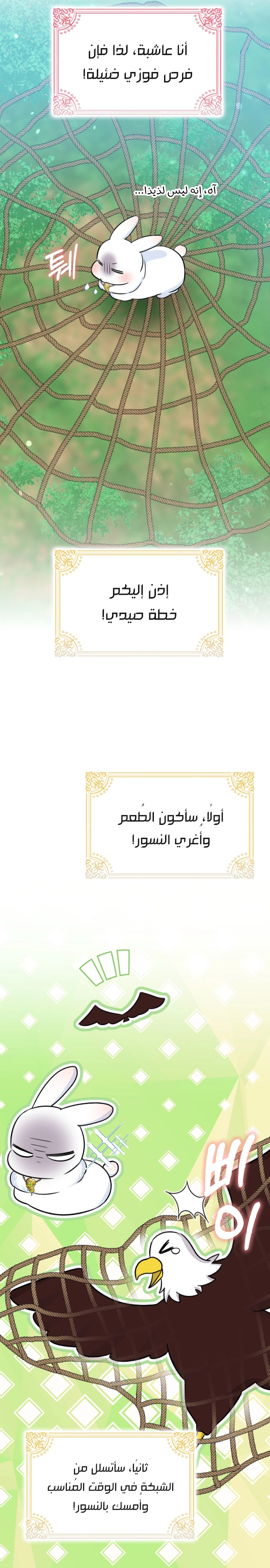 الصفحة 19