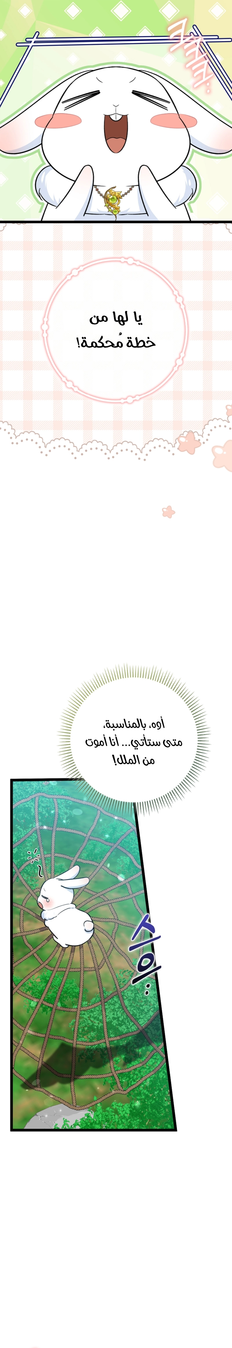 الصفحة 20