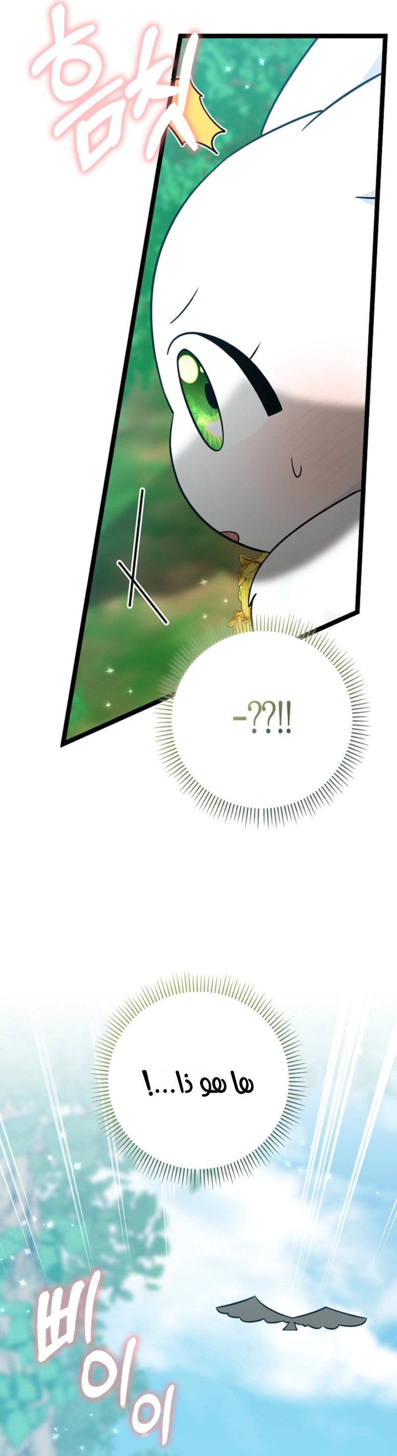 الصفحة 21
