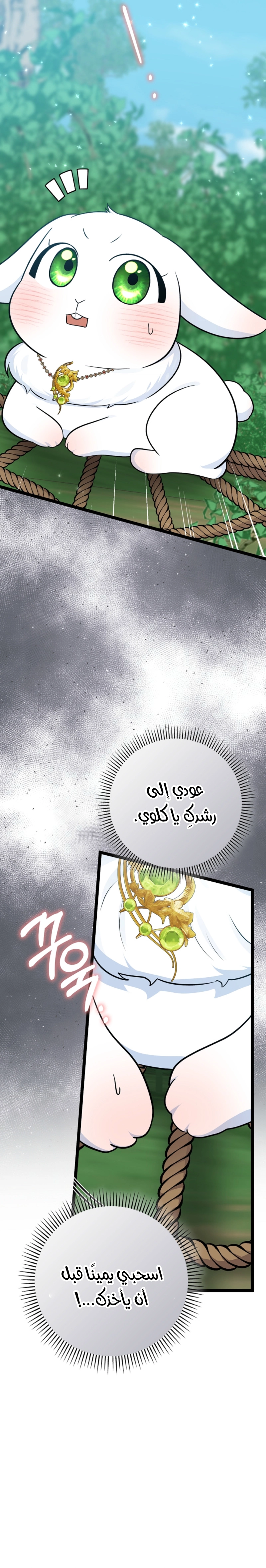 الصفحة 22