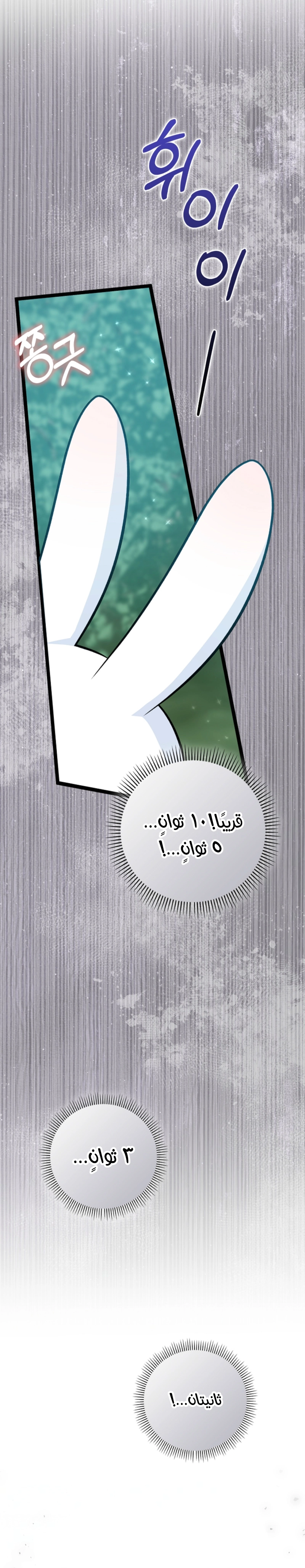 الصفحة 24