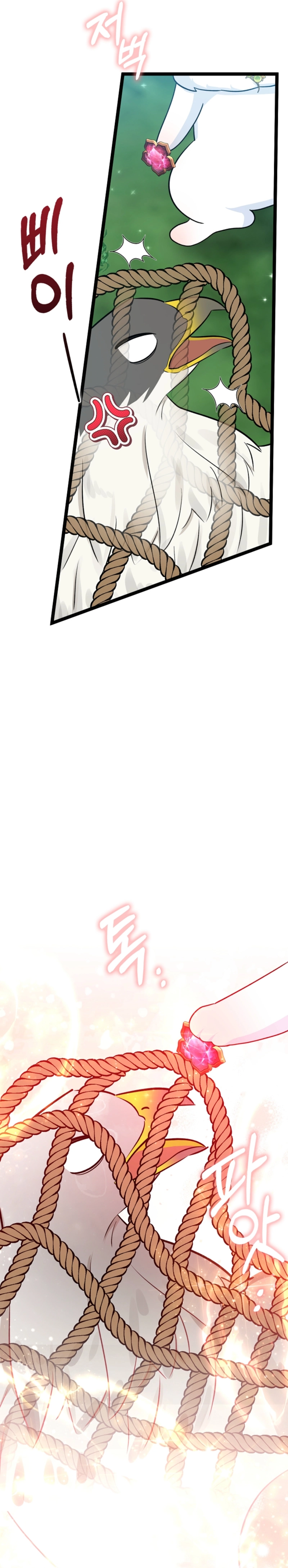 الصفحة 28