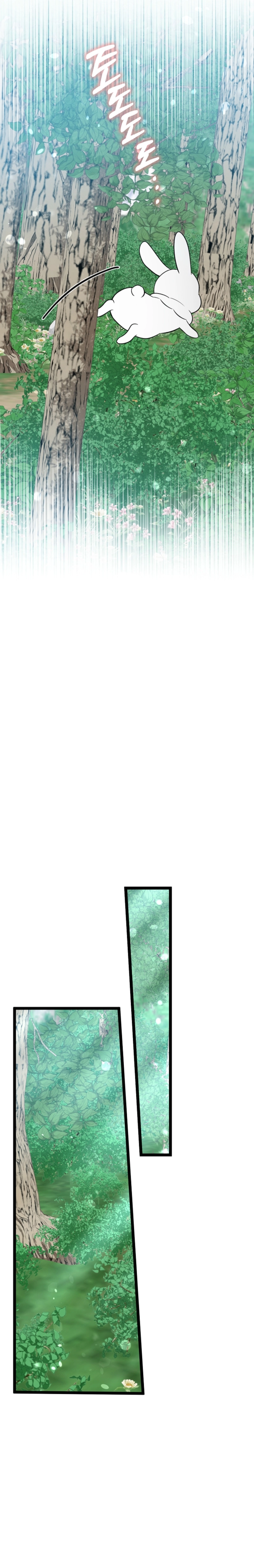 الصفحة 34