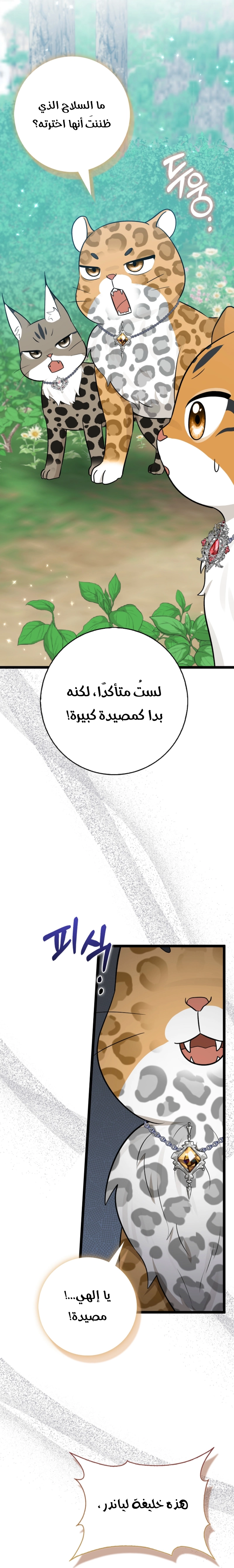 الصفحة 36