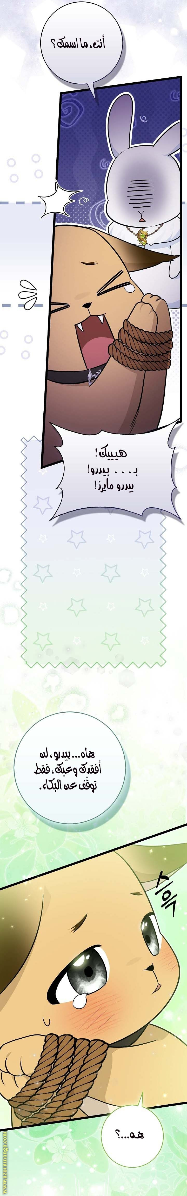 الصفحة 2