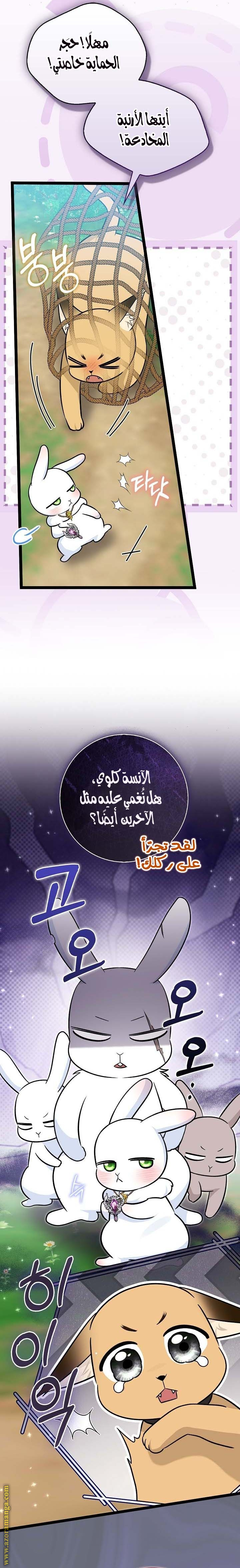 الصفحة 17