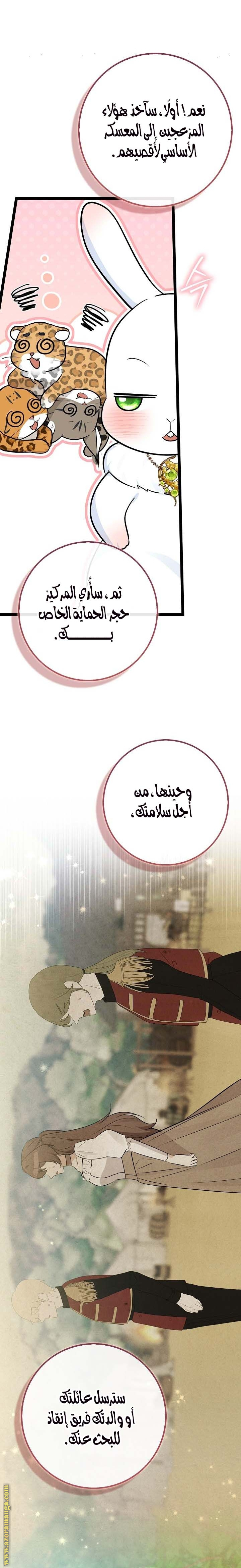 الصفحة 19
