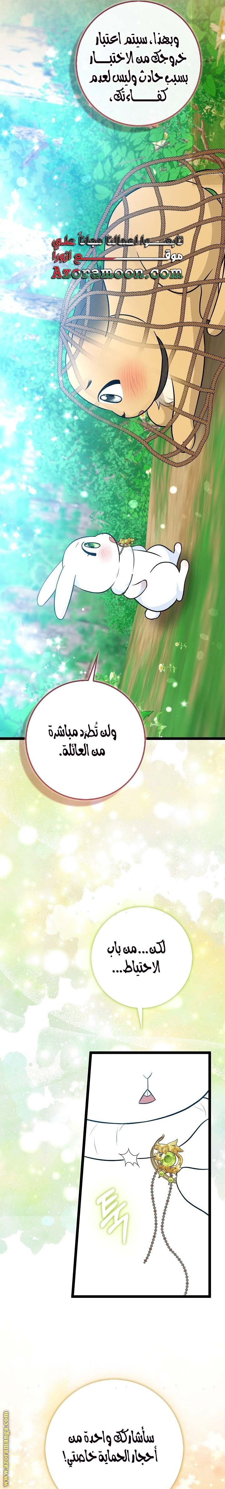 الصفحة 20
