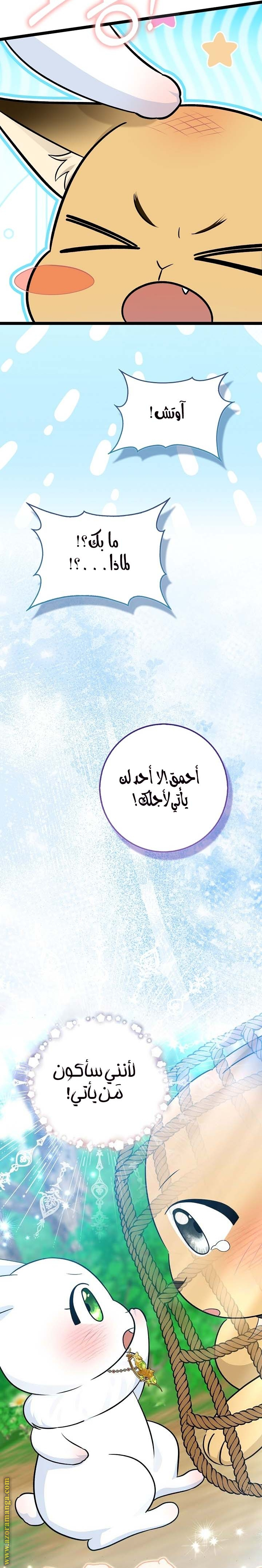 الصفحة 23