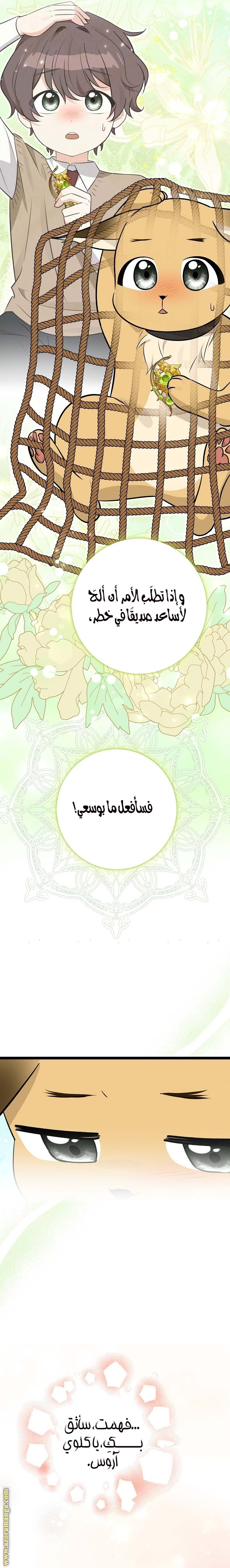 الصفحة 25