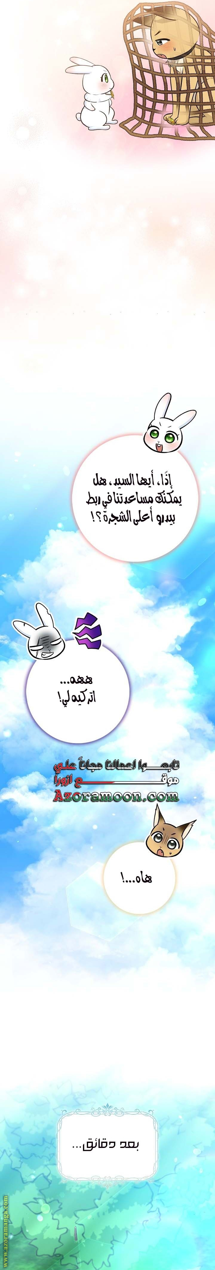 الصفحة 26