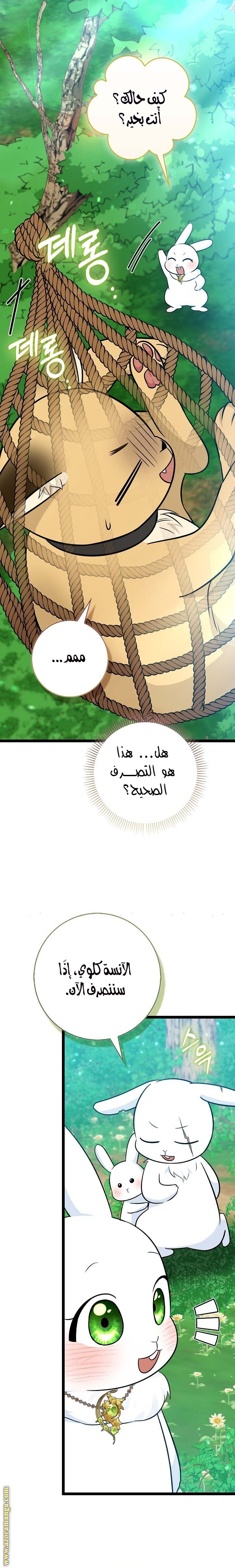 الصفحة 27
