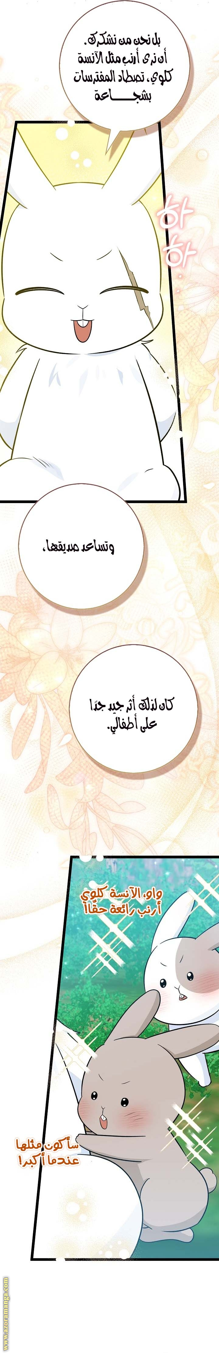 الصفحة 29