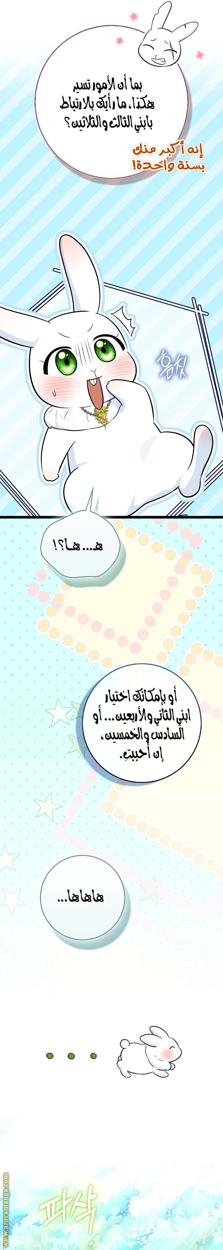 الصفحة 30