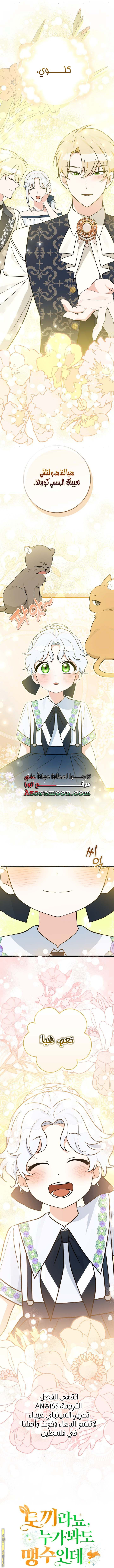 الصفحة 22