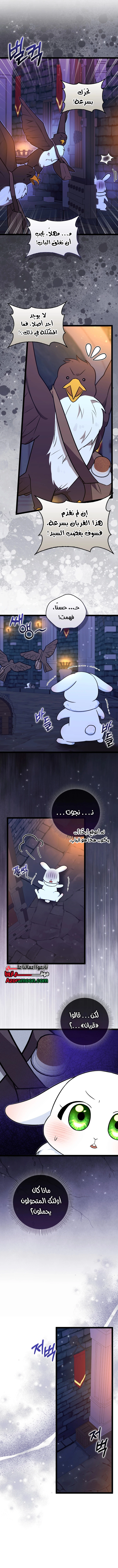 الصفحة 2