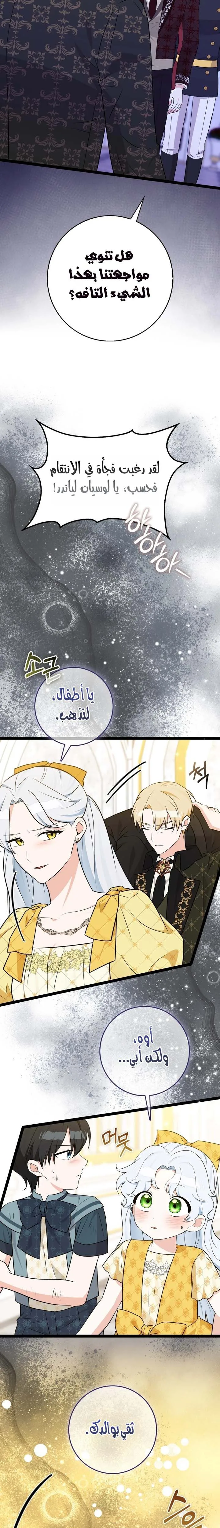 الصفحة 27