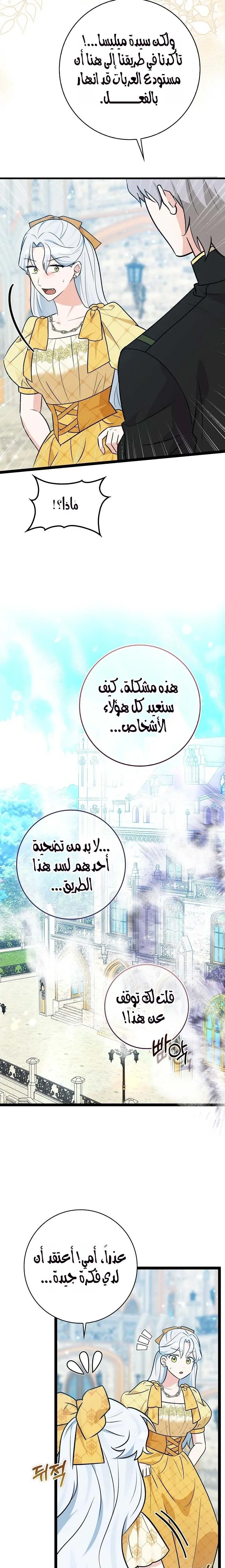 الصفحة 17