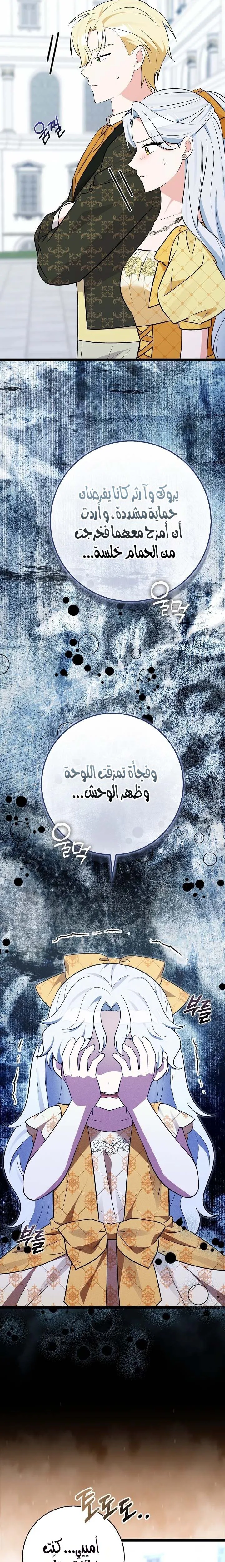 الصفحة 27