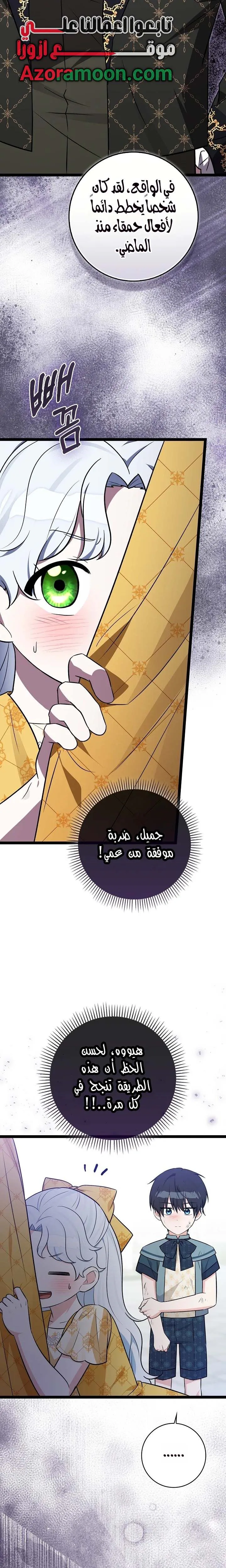 الصفحة 29