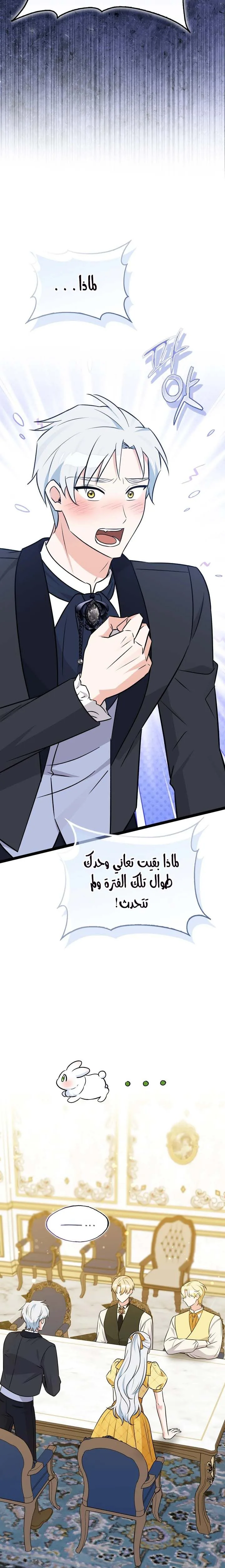 الصفحة 20