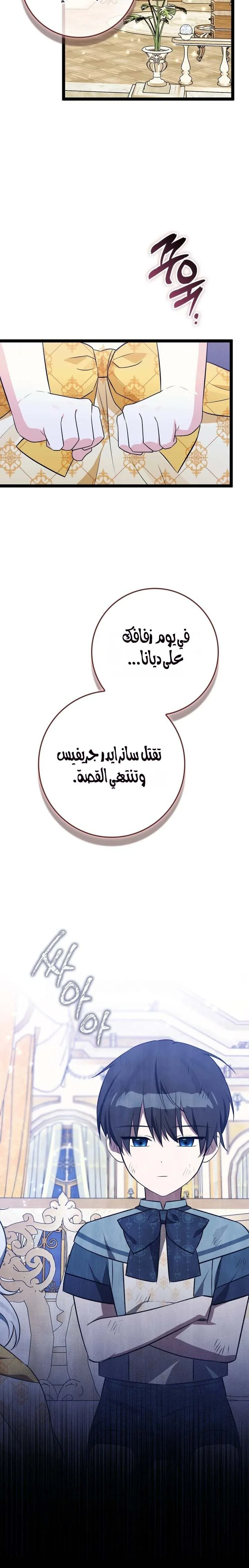 الصفحة 25