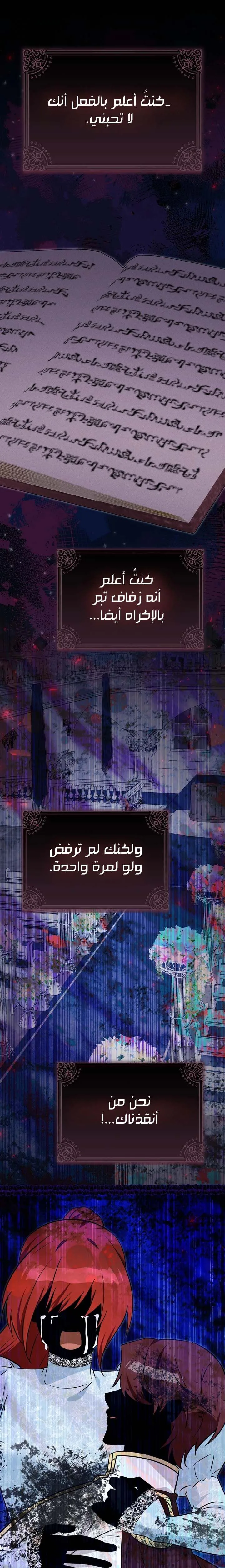 الصفحة 26