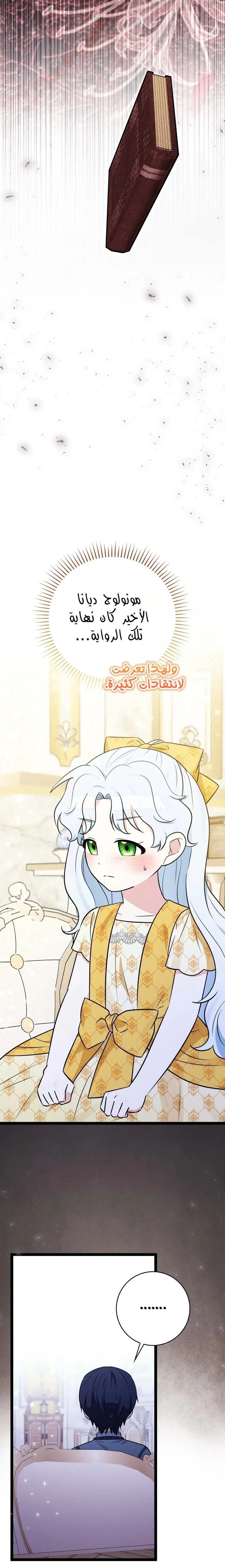 الصفحة 29